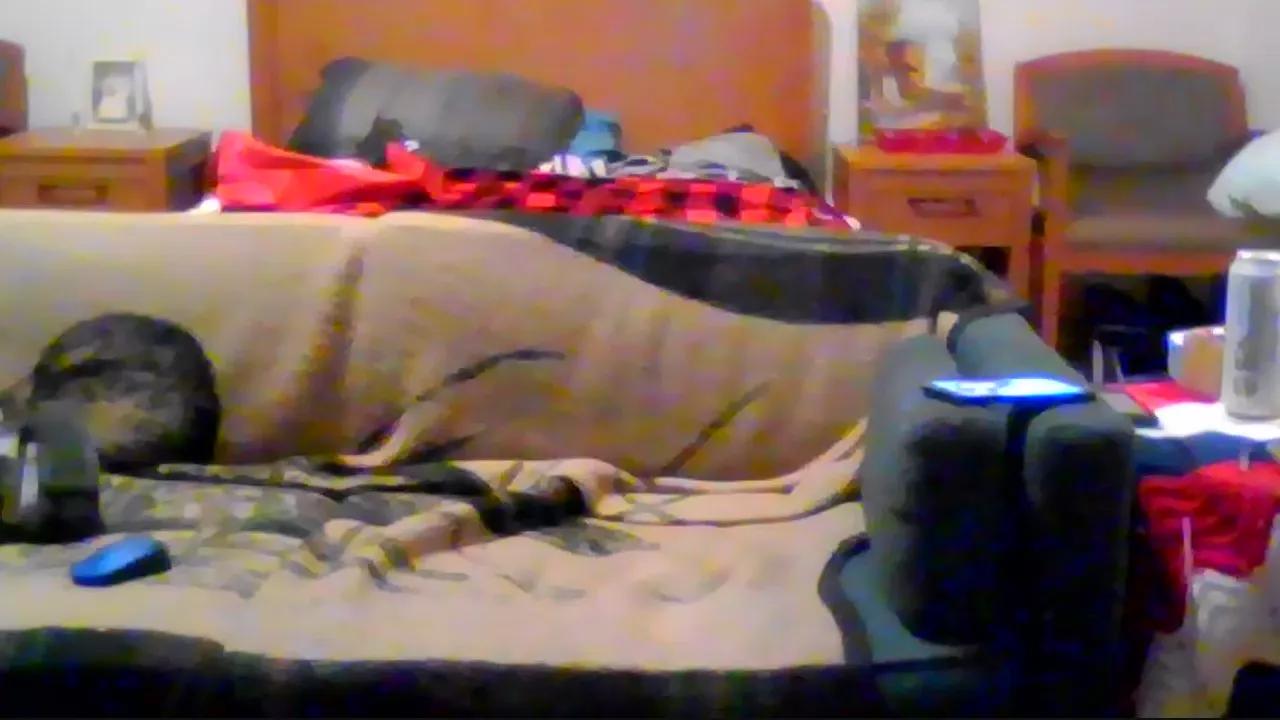 allnighter4ever from Cam4
