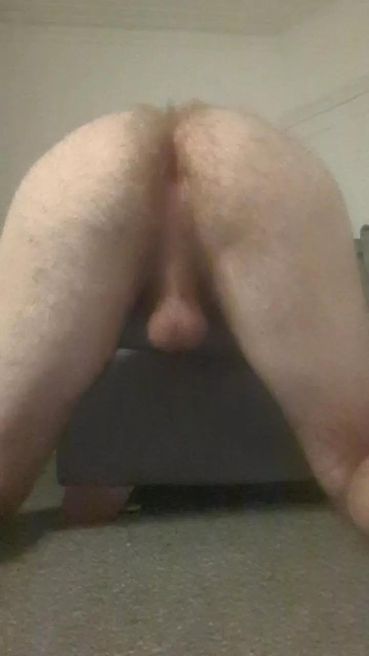 Anonx95 from Cam4