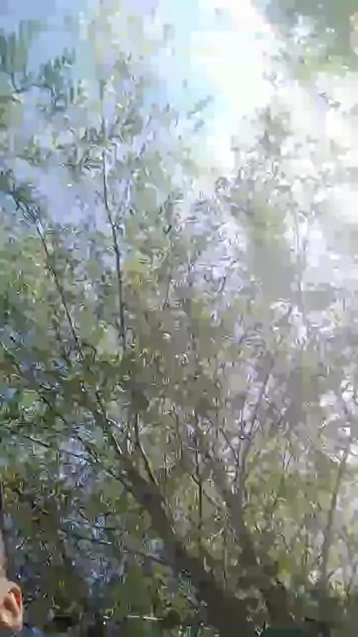 fefe1984ba from Cam4