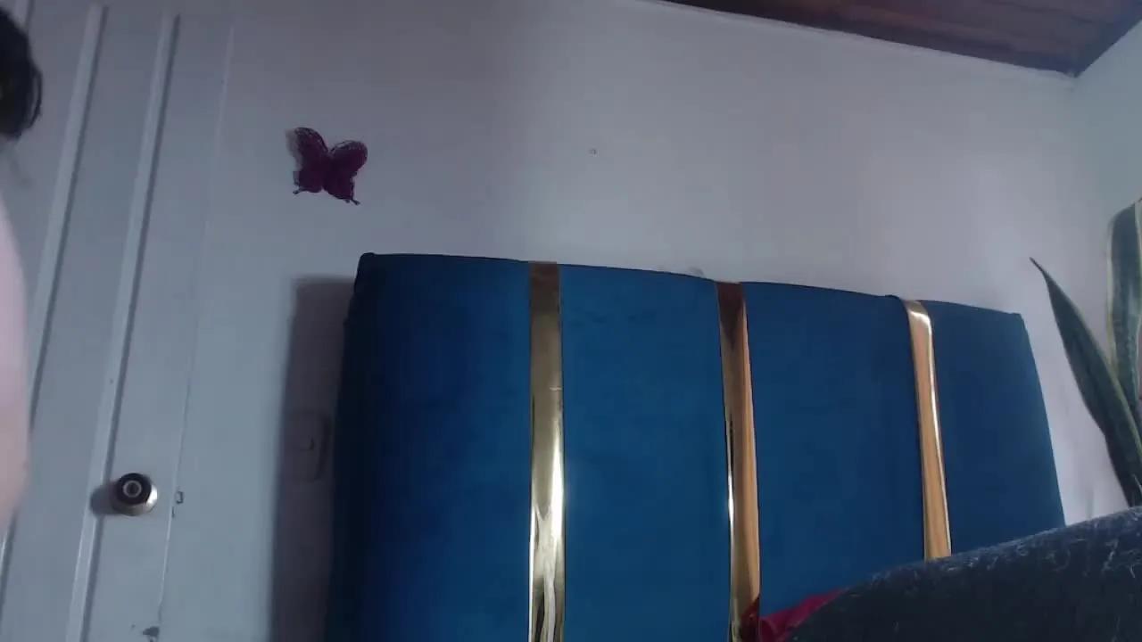 Tetianabig from Streamray