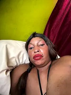 kinghtwalker from StripChat is Freechat