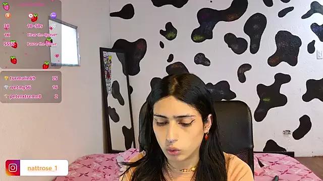 NATTROSE from StripChat is Freechat
