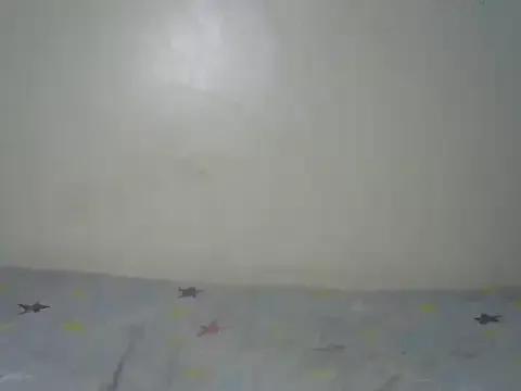 Petite_Barbiee from StripChat is Freechat