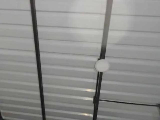 candylovet — Me gusta el sexo duro, sin parar y que me hablen cosas locas.