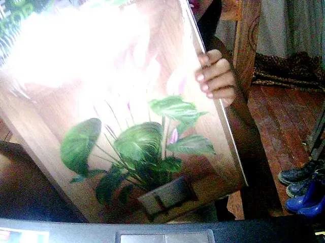 Cathie69 on BongaCams