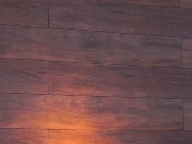 EllieRedd on BongaCams