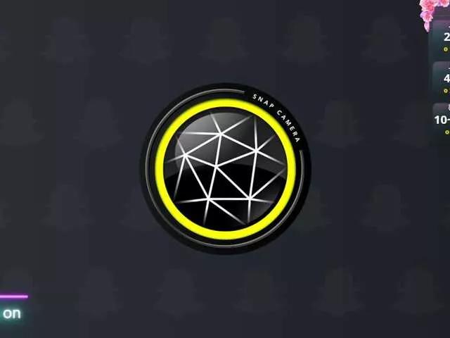 Offline lindasnows on BongaCams