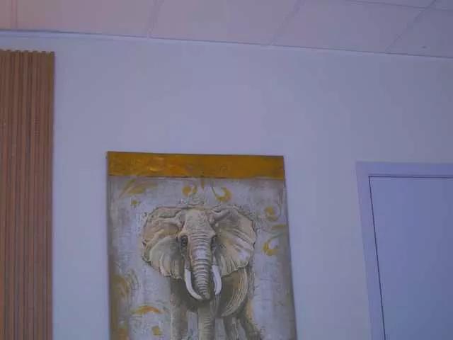 Offline SweetObsessionXO on BongaCams