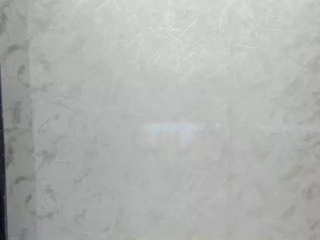 Freechat Swinger-Party on BongaCams