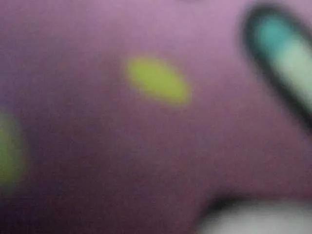 BongaCams synopsiss is Freechat synopsiss — Freechat on BongaCams