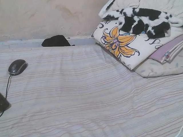 Freechat Verylshanny on BongaCams