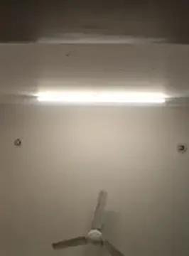 Anchal-8798's avatar