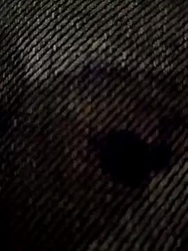 Freechat MAGNETICDADDY8 on StripChat