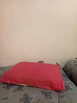 miamia21 — Domi & Lovense destek